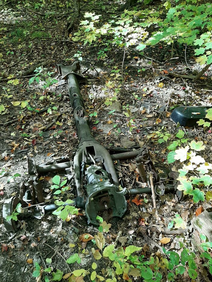He encontrado esta cosa con ruedas en el bosque