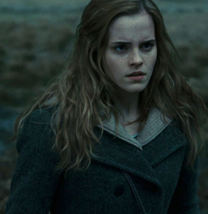 Hermione Founded The Society For The Promotion Of Elfish Welfare