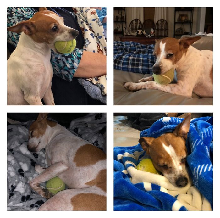 Minnie Pearl And Her Ball.... My Sweet Little Girl Always Has Her Favorite Tennis Ball With Her. Recently She Has Been Bringing To Show Her New Baby Brother.