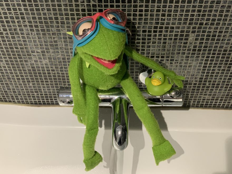 Kermit Took Over My Home Office During Covid-19 Pandemia Kermit Took Over My Home Office During Covid-19 Pandemia