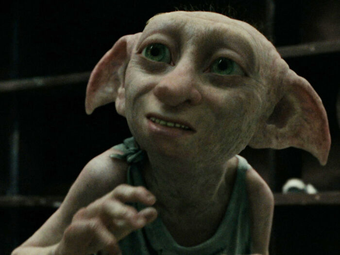 House Elves Were Combatants In The Battle Of Hogwarts And Fought Against The Death Eaters