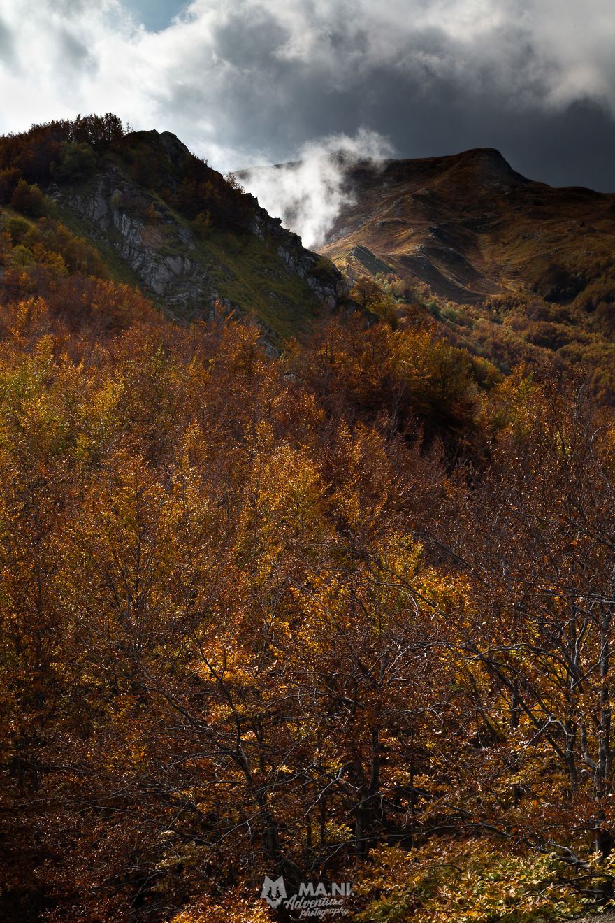Autumn Is On The Way