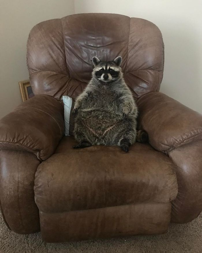 They Call This The Daddy Chair, But They're Mistaken. It's The Baxter Chair