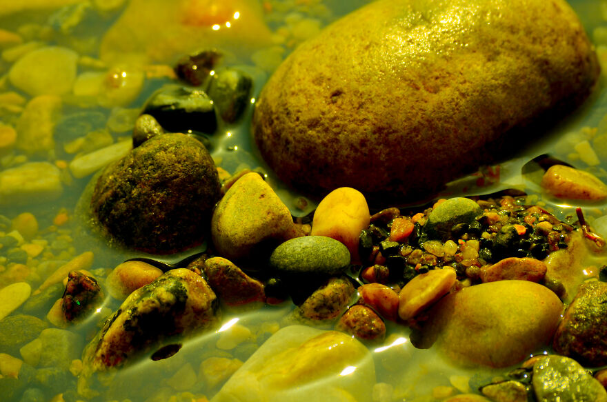 Nature Photography