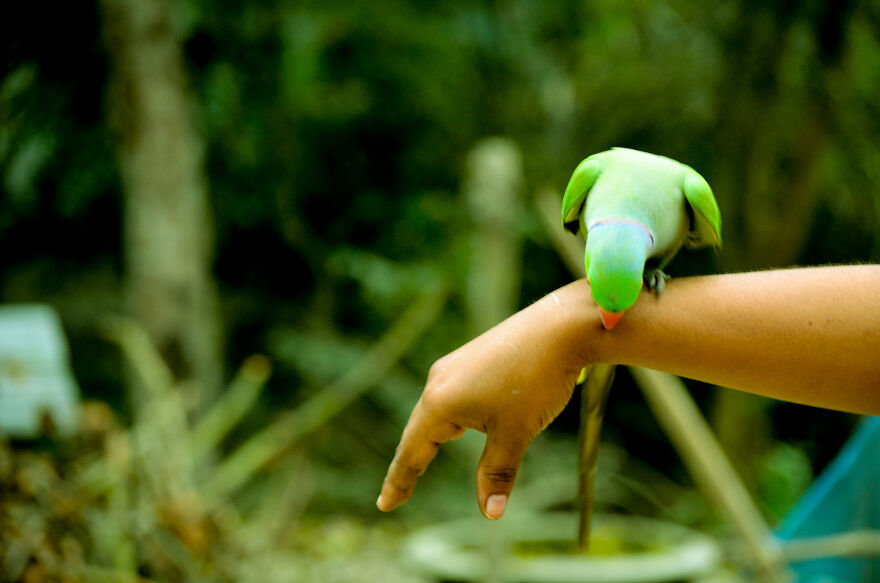 Nature Photography