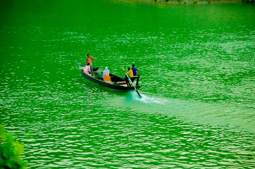 Nature Photography