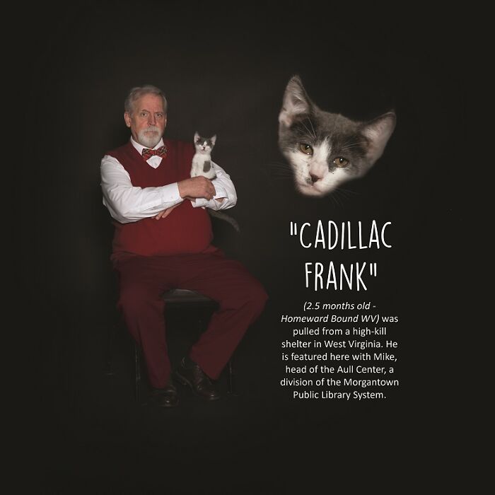 I Made A Calendar Fundraiser, "Librarians And Cats" With A Public Library And Two Animal Shelters