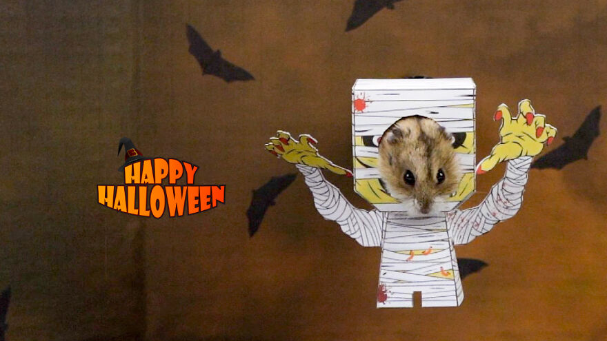 How To Make Hamsters' Halloween Costumes