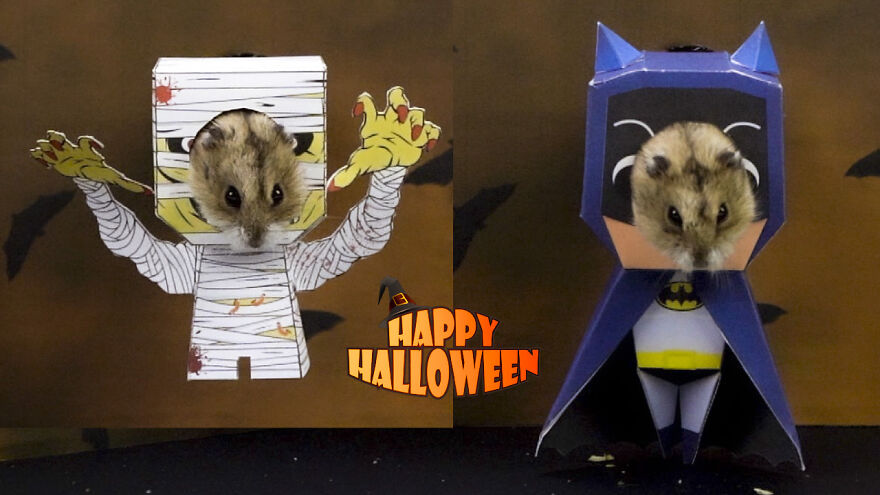 How To Make Hamsters' Halloween Costumes