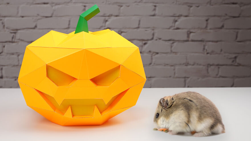I Created This Cardboard Halloween Pumpkin For My Hamster