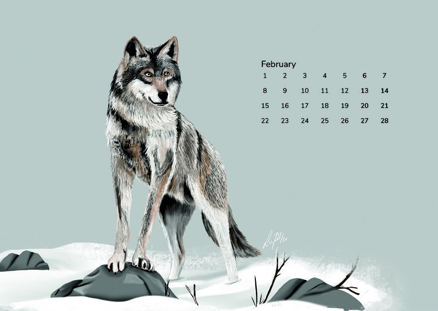 I Started A Calendar Project During Corona With These Animal Drawings