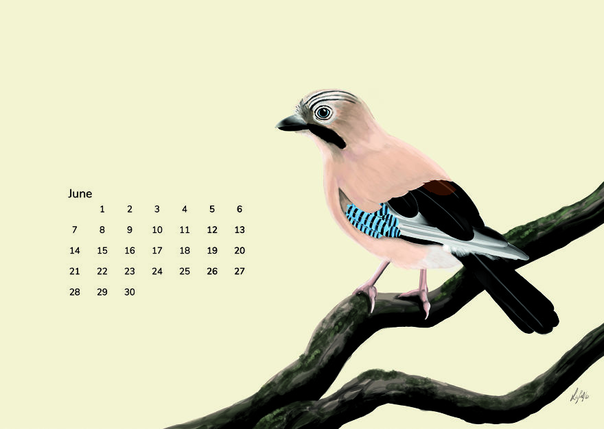 I Started A Calendar Project During Corona With These Animal Drawings