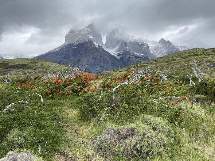 Patagonia Region, Argentina