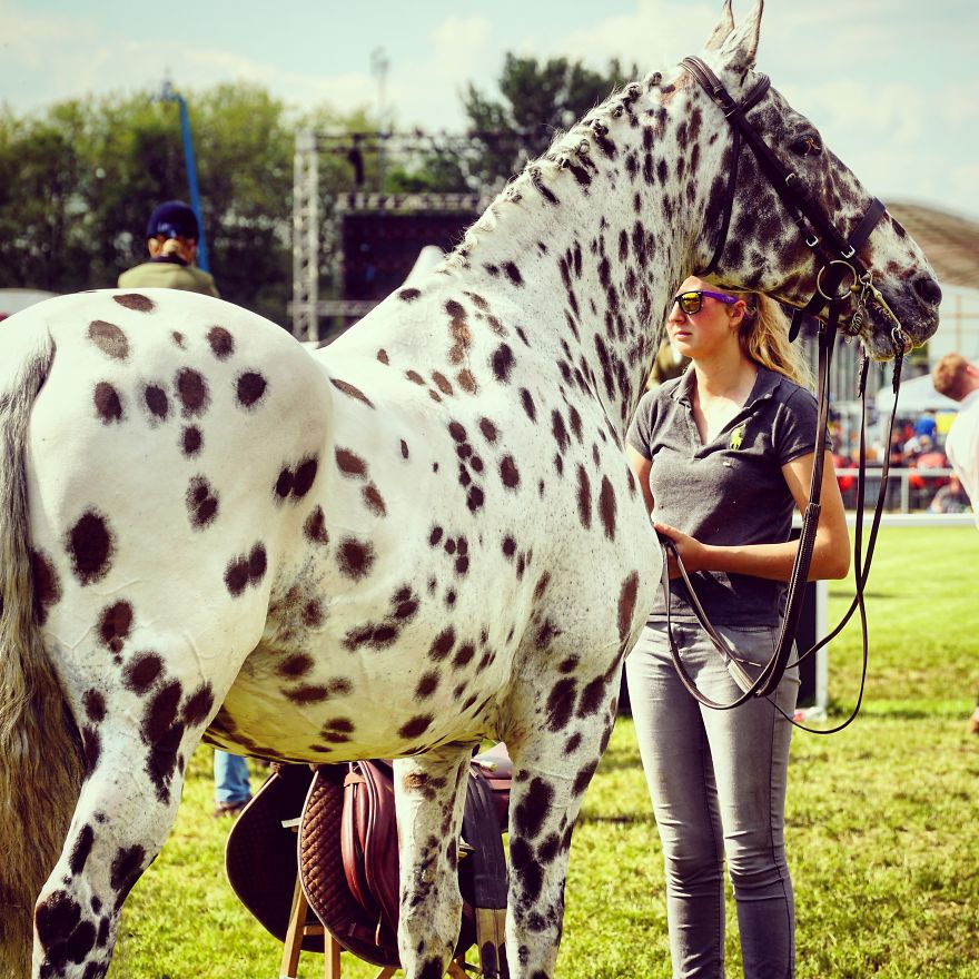 I Rode A Beautiful Spotted Horse On The Grounds Of The Windsor Castle And It Was Amazing.