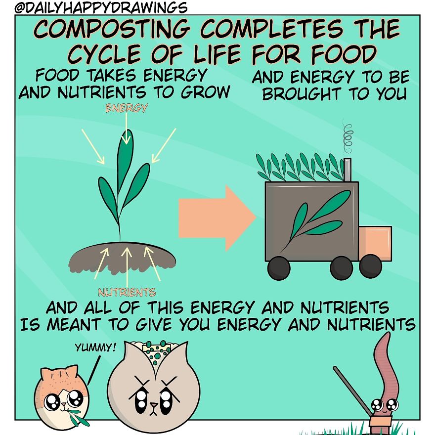 I Illustrate Comics About Composting Through The Eyes Of Cats