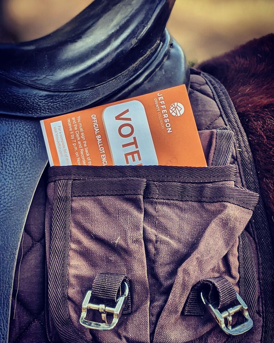 I Voted On Horseback! I Voted On Horseback!