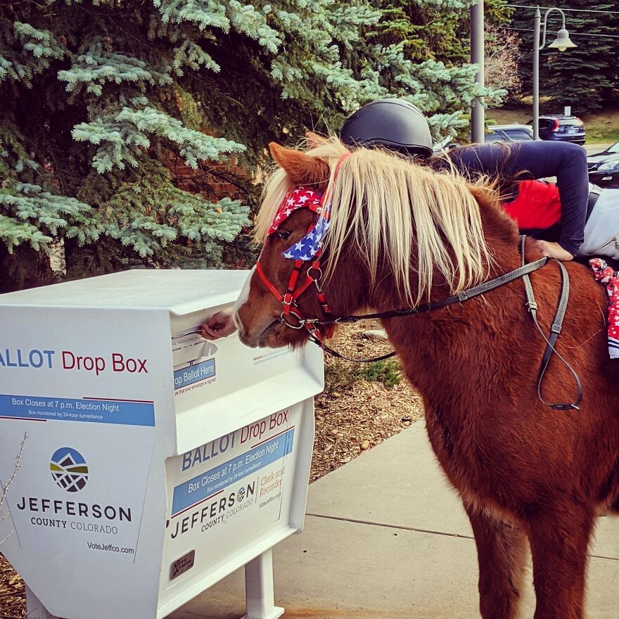 I Voted On Horseback! I Voted On Horseback!