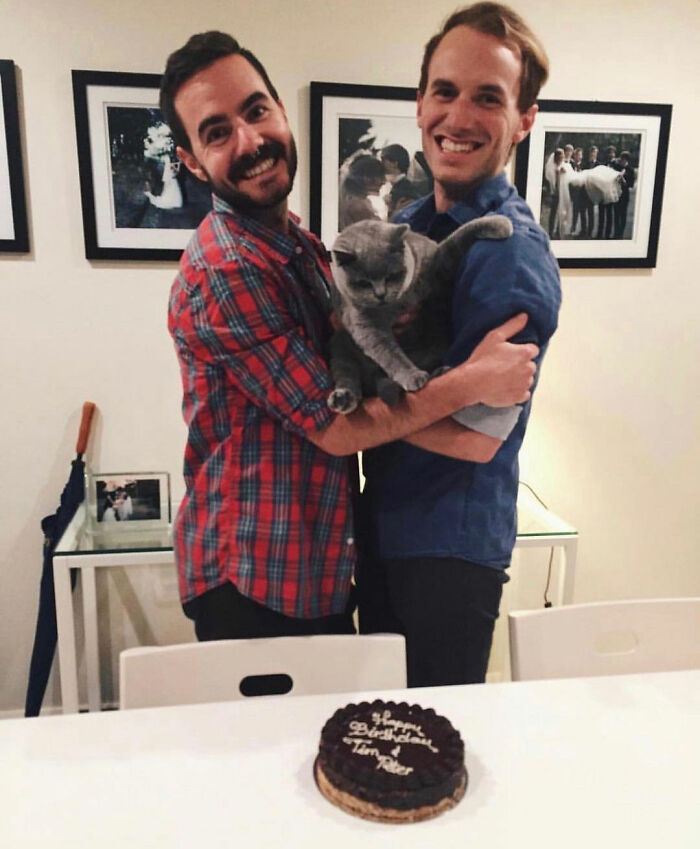 Two men holding grey cat 