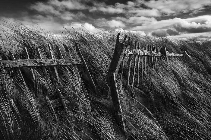 Black And White Commended: Jamie Williamson, 'Shaped By Wind And Wave', North Ayrshire
