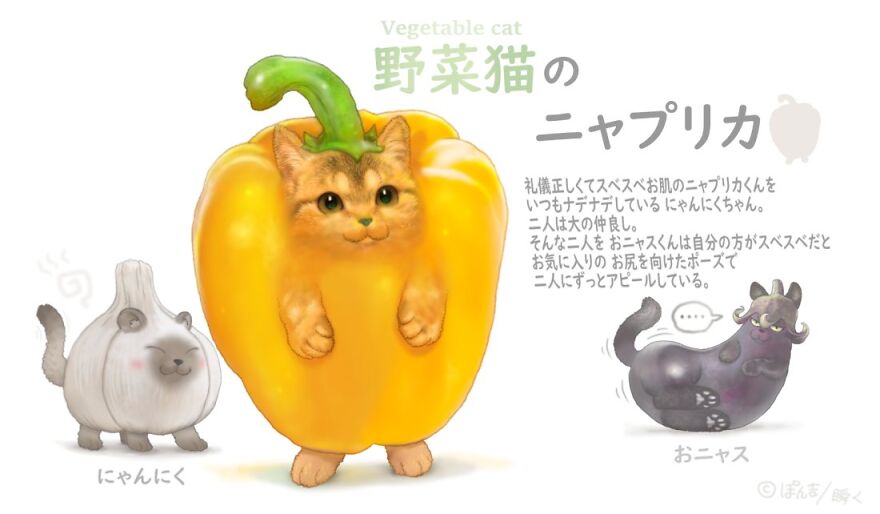 Bell Pepper Cat