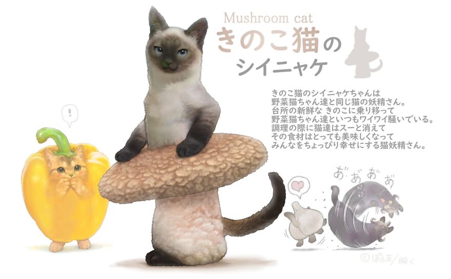 Mushroom Cat