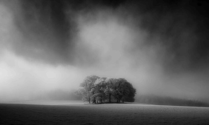 Black And White Commended: Jason Hudson, 'The Copse', Cumbria