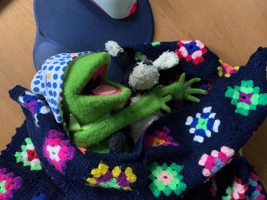 Kermit Took Over My Home Office During Covid-19 Pandemia Kermit Took Over My Home Office During Covid-19 Pandemia