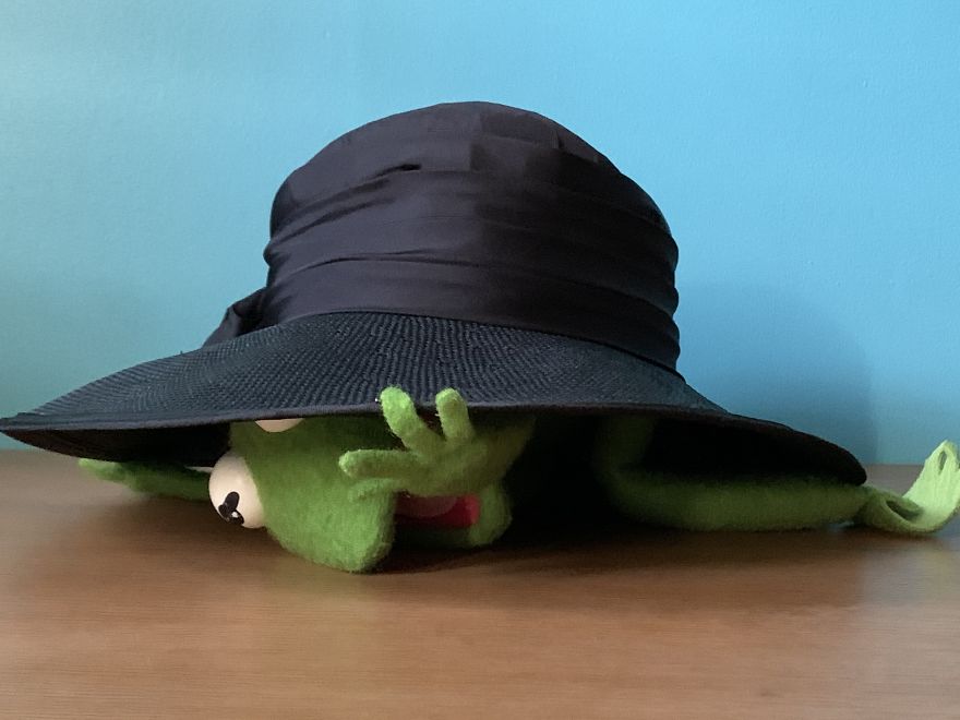Kermit Took Over My Home Office During Covid-19 Pandemia Kermit Took Over My Home Office During Covid-19 Pandemia