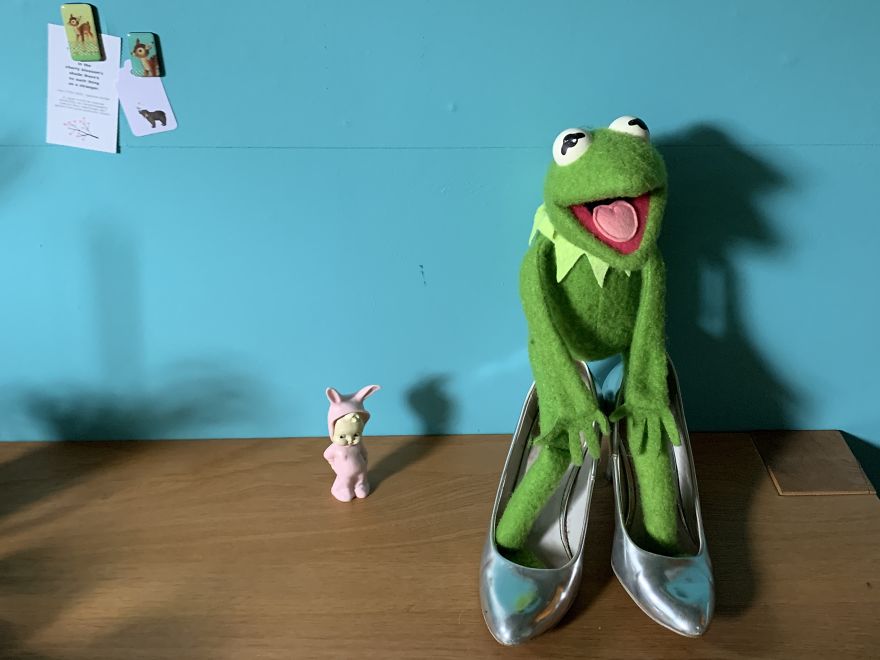 Kermit Took Over My Home Office During Covid-19 Pandemia Kermit Took Over My Home Office During Covid-19 Pandemia