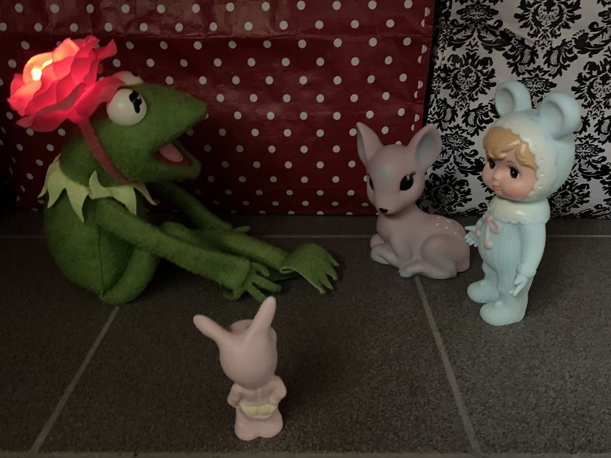 Kermit Took Over My Home Office During Covid-19 Pandemia Kermit Took Over My Home Office During Covid-19 Pandemia