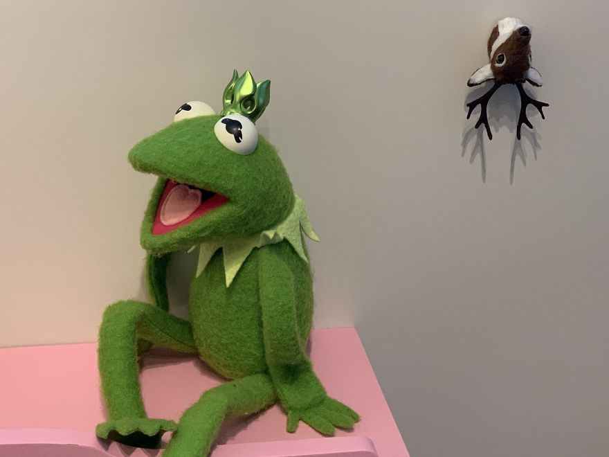 Kermit Took Over My Home Office During Covid-19 Pandemia Kermit Took Over My Home Office During Covid-19 Pandemia