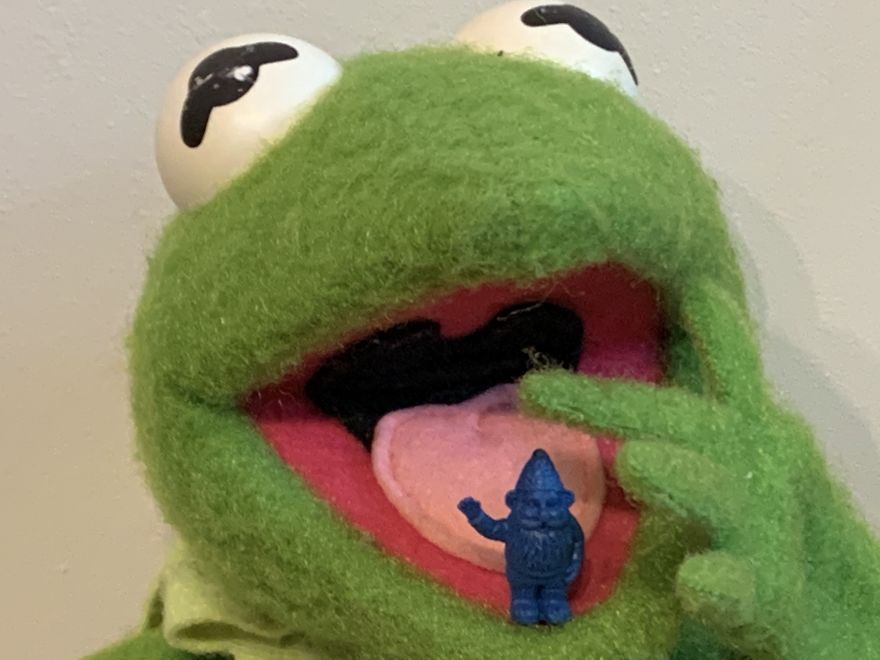 Kermit Took Over My Home Office During Covid-19 Pandemia Kermit Took Over My Home Office During Covid-19 Pandemia