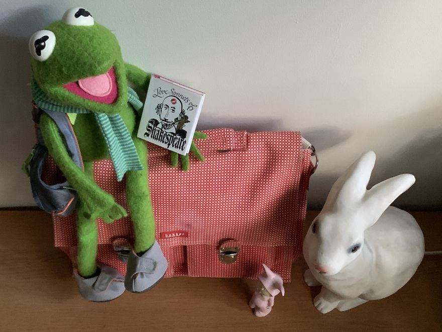 Kermit Took Over My Home Office During Covid-19 Pandemia Kermit Took Over My Home Office During Covid-19 Pandemia