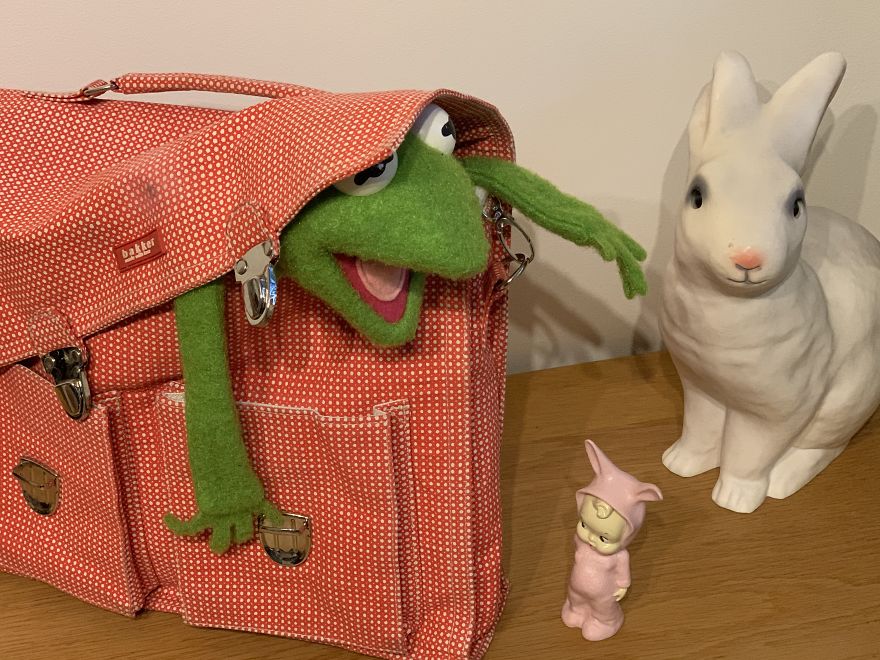 Kermit Took Over My Home Office During Covid-19 Pandemia Kermit Took Over My Home Office During Covid-19 Pandemia
