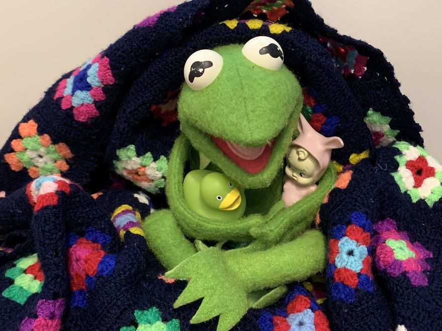 Kermit Took Over My Home Office During Covid-19 Pandemia Kermit Took Over My Home Office During Covid-19 Pandemia