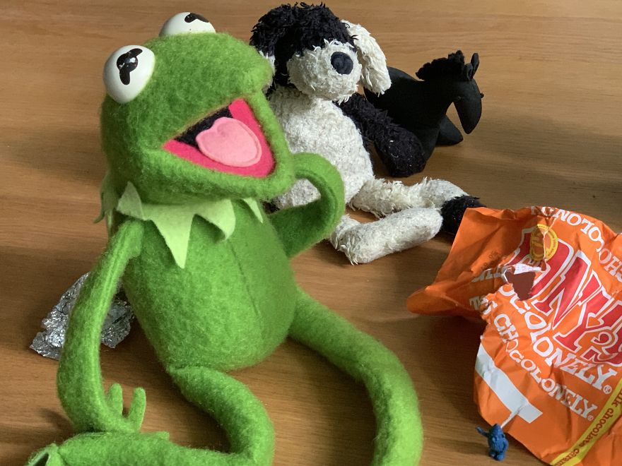 Kermit Took Over My Home Office During Covid-19 Pandemia Kermit Took Over My Home Office During Covid-19 Pandemia