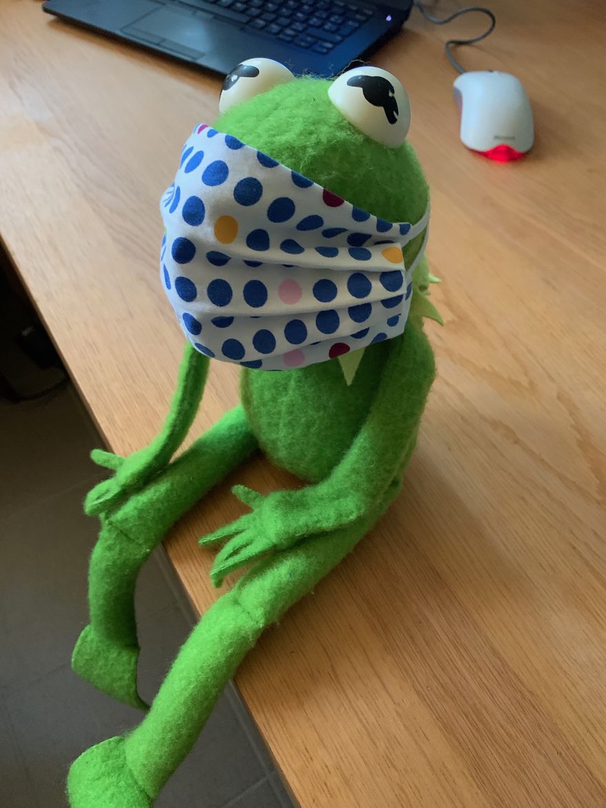 Kermit Took Over My Home Office During Covid-19 Pandemia Kermit Took Over My Home Office During Covid-19 Pandemia