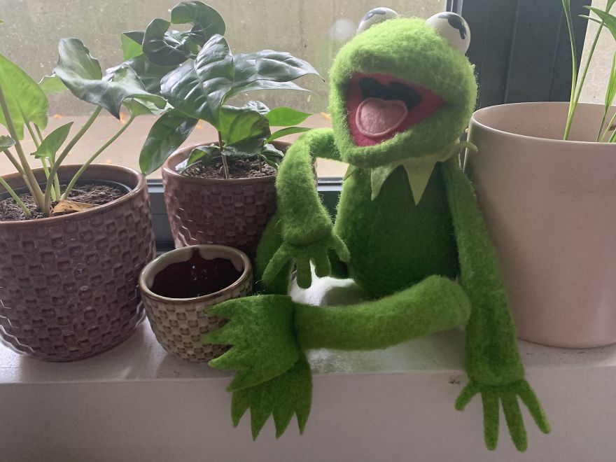 Kermit Took Over My Home Office During Covid-19 Pandemia Kermit Took Over My Home Office During Covid-19 Pandemia