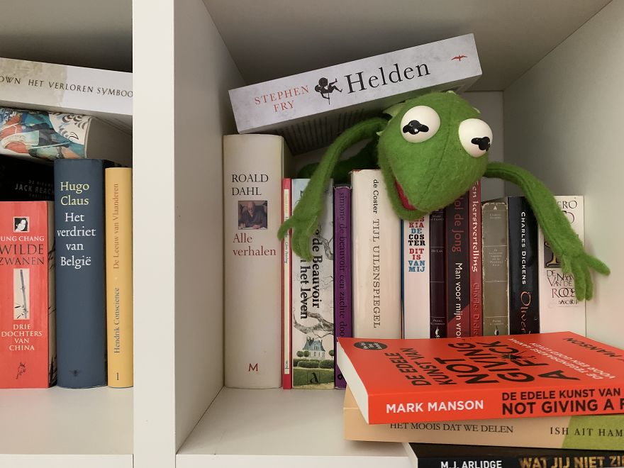 Kermit Took Over My Home Office During Covid-19 Pandemia Kermit Took Over My Home Office During Covid-19 Pandemia
