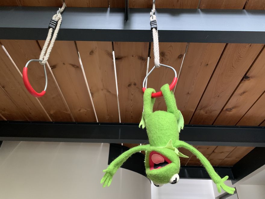 Kermit Took Over My Home Office During Covid-19 Pandemia Kermit Took Over My Home Office During Covid-19 Pandemia