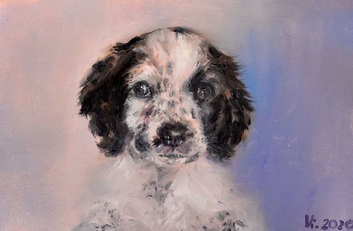 A Fast Portrait Of My Cutie Pup Zoe, Oil On Canvas