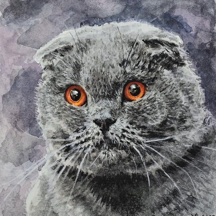 One Of My Favorite Cat Breeds, A Sweet Majestic British Shorthair