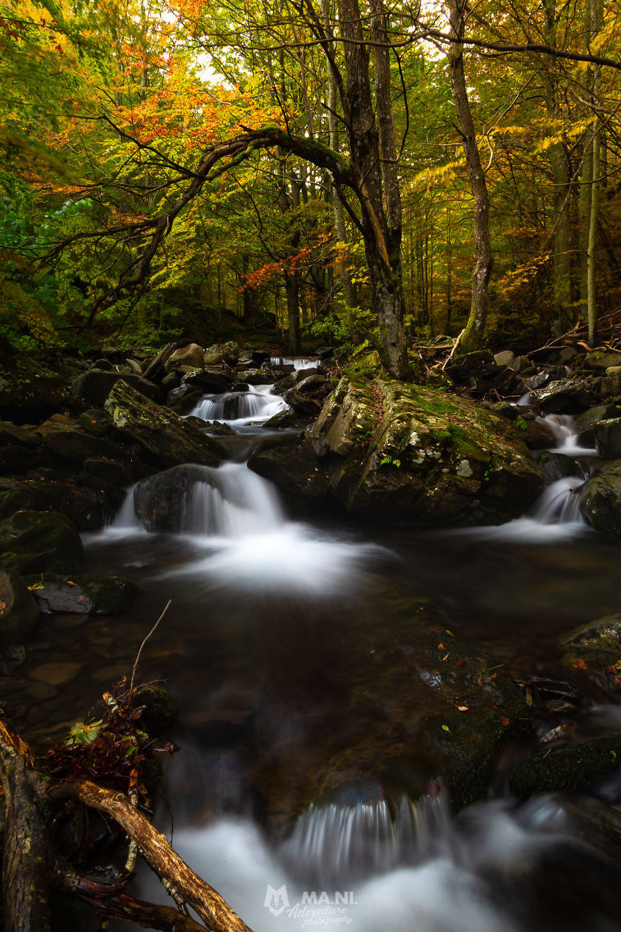 Autumn Is On The Way