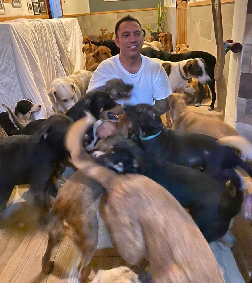 Man Brings 300 Stray Animals To His Home, Protects Them From Hurricane  Delta | Bored Panda