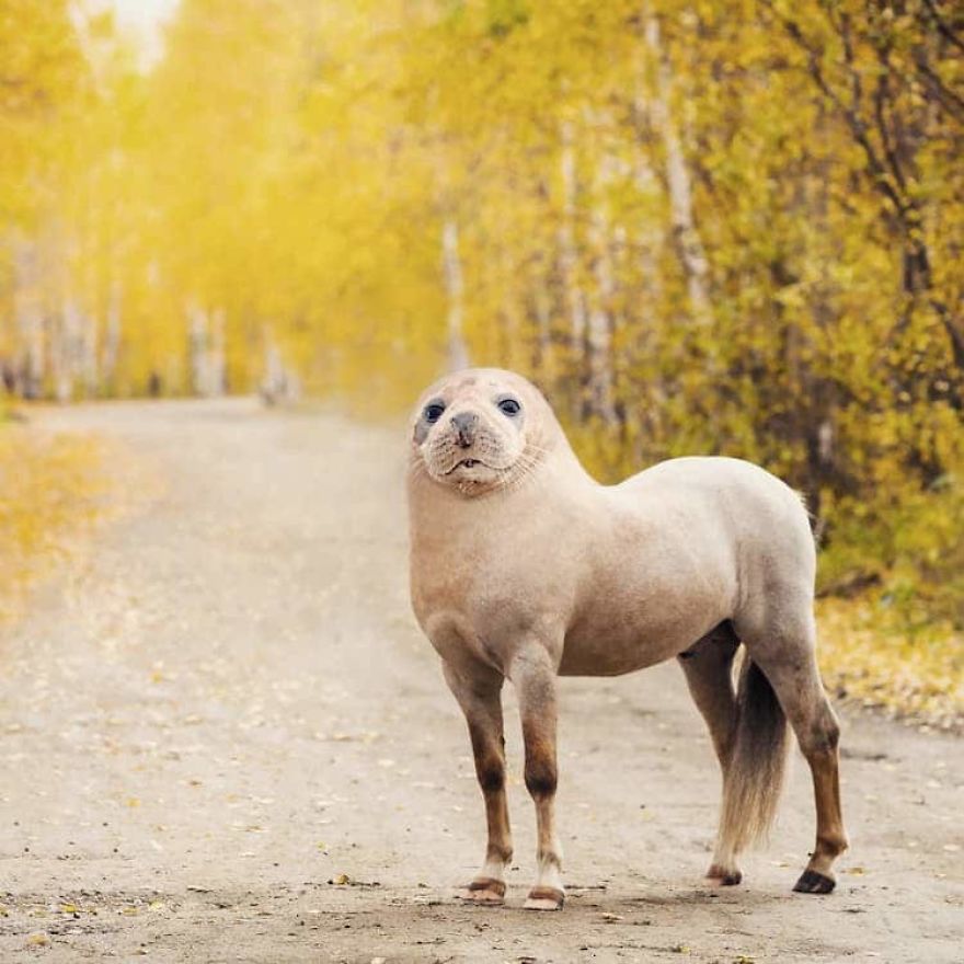 People Are Photoshopping Random Animals Together And Here Are The 20 Best Ones