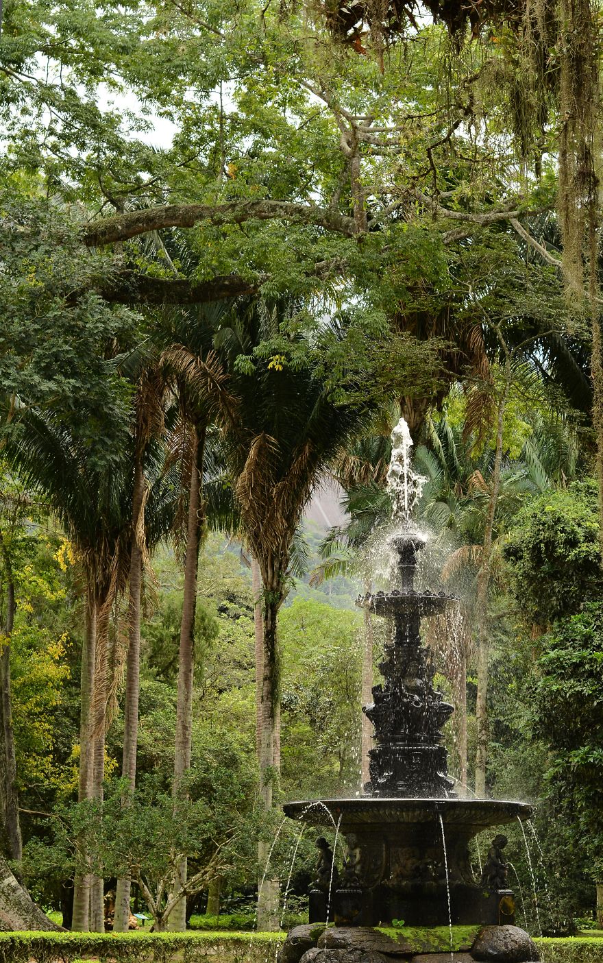 Rio De Janeiro Photos, Parks In Rio