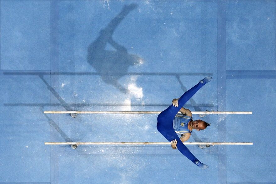 Fly Bars (Remarkable Artwork In Sports In Action Category)