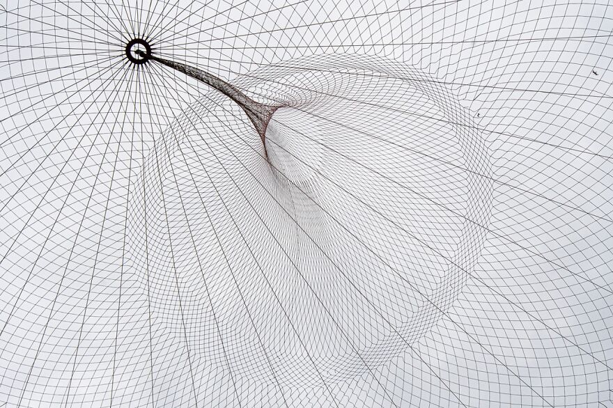 The Net And The Gull (Honorable Mention In Architecture & Urban Spaces Category)