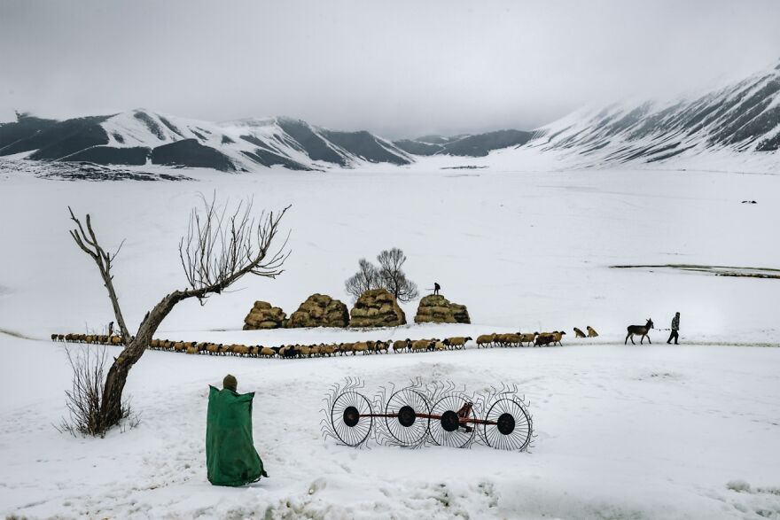 Winter Life (Honorable Mention In Journeys & Adventures Category)