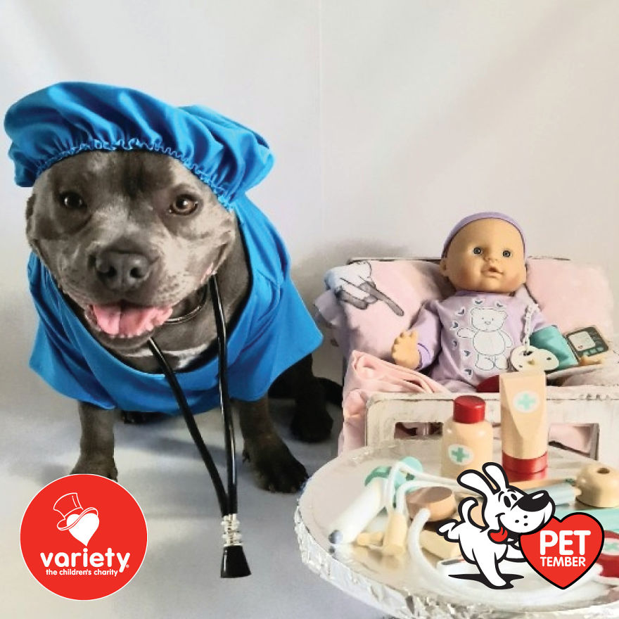 The Cutest Pics Ever From Petember -
australia’s Charity Dog Fashion Competition The Cutest Pics Ever From Petember -
australia’s Charity Dog Fashion Competition